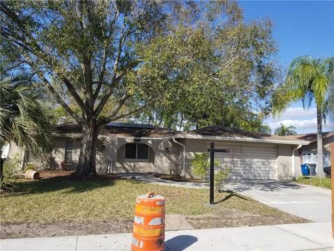 1810 Mapleleaf Blvd, Oldsmar, FL 34677 photo 1