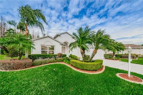 11424 Wedgemere Dr, Trinity, FL 34655 photo 1