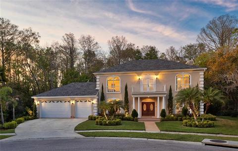 50 Deerpath Ct, Oldsmar, FL 34677 photo 1