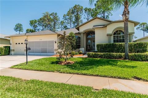 11146 Eagle Bend Dr, Hudson, FL 34667 photo 1