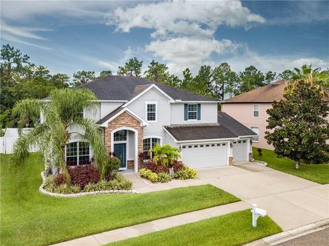 11745 Newberry Grove Loop, Riverview, FL 33579 photo 1