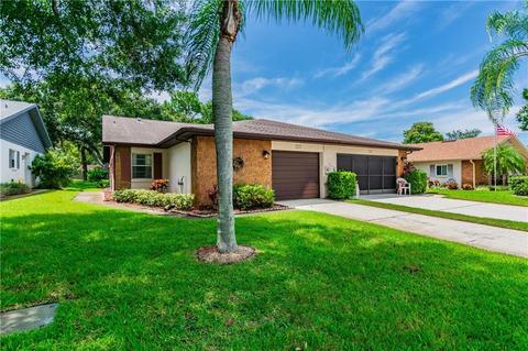 3214 Mcmath Dr, Palm Harbor, FL 34684 photo 1