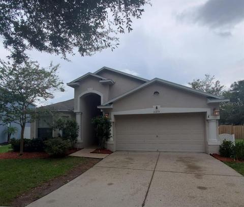 11235 Lake Lanier Dr, Riverview, FL 33569 photo 1