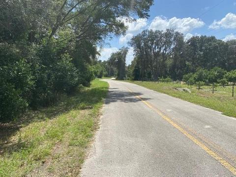 579 Messer Dr, Seffner, FL 33584 photo 1