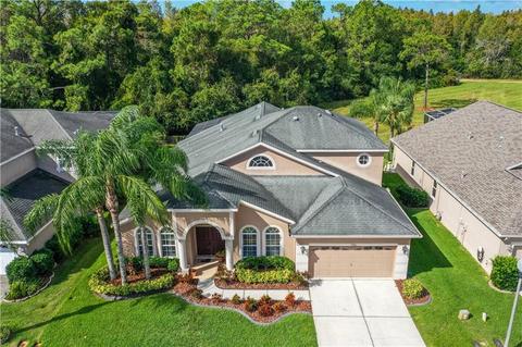 2336 Brinley Dr, Trinity, FL 34655 photo 1