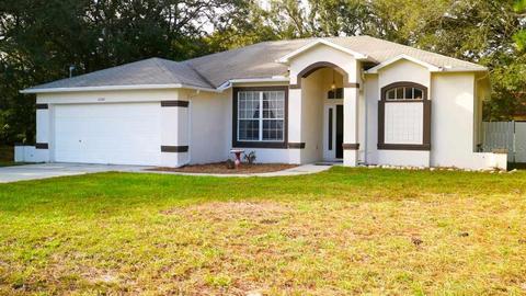 11041 Belltower St, Spring Hill, FL 34608 photo 1