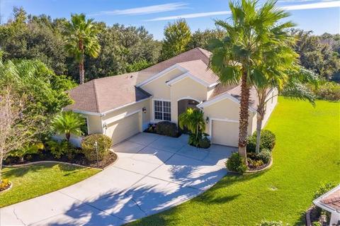 2919 127th Pl E, Parrish, FL 34219 photo 1