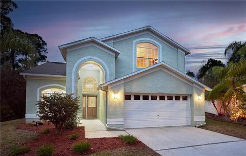15417 Sir Maxwell Ct, Odessa, FL 33556 photo 1