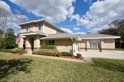 19615 Eagle Crest Dr, Lutz, FL 33549 photo 1