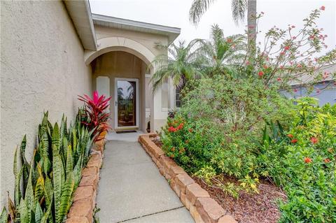 12140 Buffington Ln, Riverview, FL 33579 photo 1