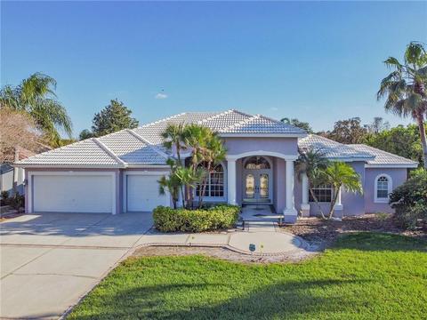 1040 Hagen Dr, Trinity, FL 34655 photo 1