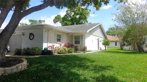 3207 Mcmath Dr, Palm Harbor, FL 34684 photo 1