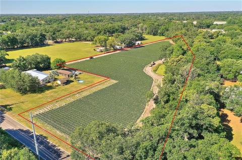 Gallagher Road, Dover, FL 33527