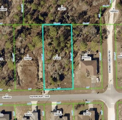 Papercraft Avenue, Weeki Wachee, FL 34614