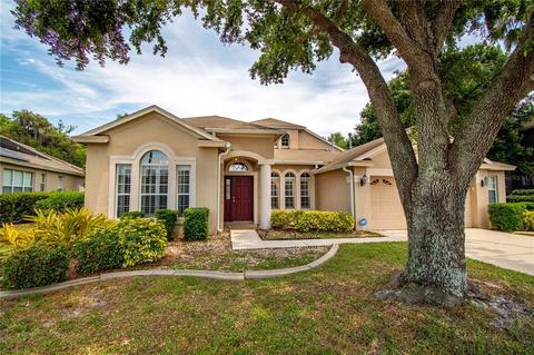 1616 Tawnyberry Ct, Trinity, FL 34655 photo 1