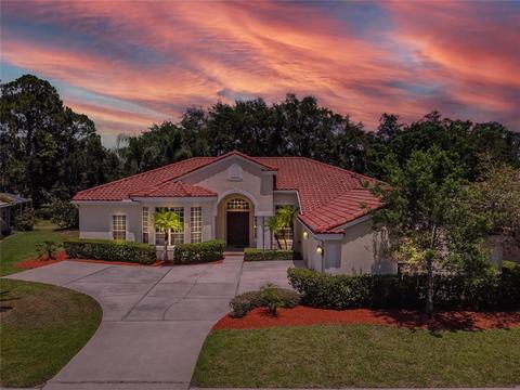 1013 Hagen Dr, Trinity, FL 34655 photo 1