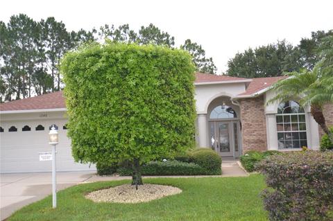 1248 Eveningside Ct, Trinity, FL 34655 photo 1