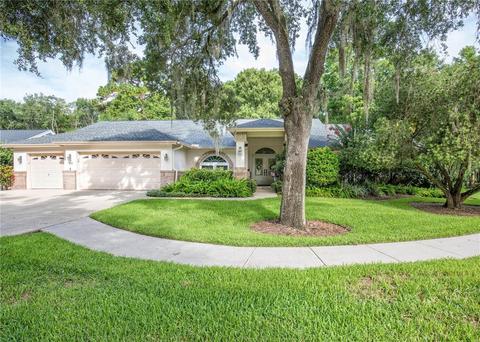60 Deerpath Ct, Oldsmar, FL 34677 photo 1