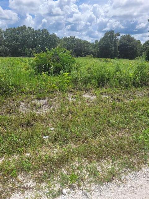 2866 W Haviland Rd, Avon Park, FL 33825
