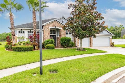 11721 Newberry Grove Loop, Riverview, FL 33579 photo 1