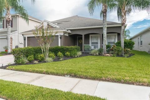 12941 Solola Way, Trinity, FL 34655 photo 1