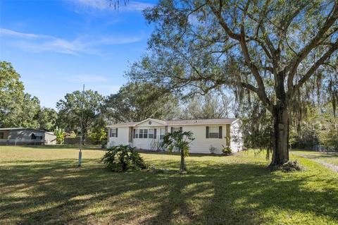17340 Eagle Ln, Lutz, FL 33558 photo 1