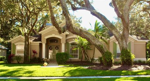 15021 Eaglepark Pl, Lithia, FL 33547 photo 1