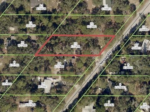 Susan Drive, Spring Hill, FL 34606