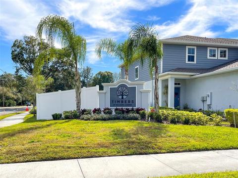 2941 Rambler Ivy Loop, Brandon, FL 33510 photo 1