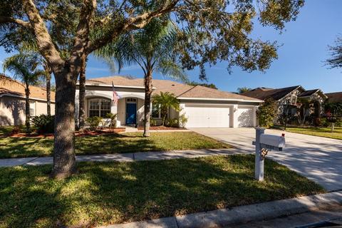 12314 Bramfield Dr, Riverview, FL 33579 photo 1