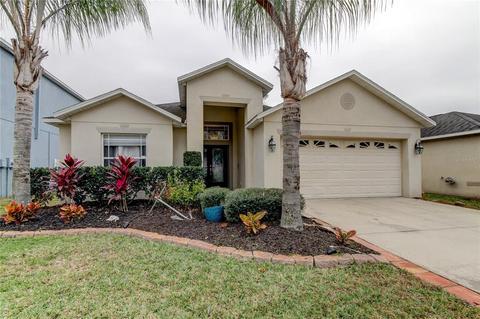 13804 Chalk Hill Pl, Riverview, FL 33579 photo 1