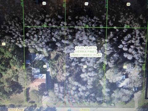 17817 Eagle Ln, Lutz, FL 33558 photo 1