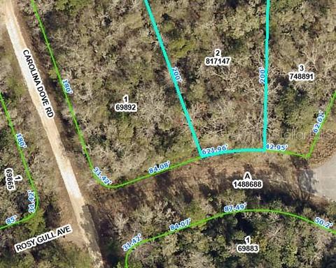 Rosy Gull Avenue, Weeki Wachee, FL 34614