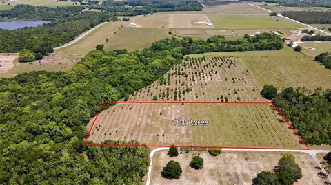 Spring Branch Road, Dade City, FL 33523