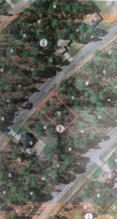5717 N Summerfield Pt, Citrus Springs, FL 34434