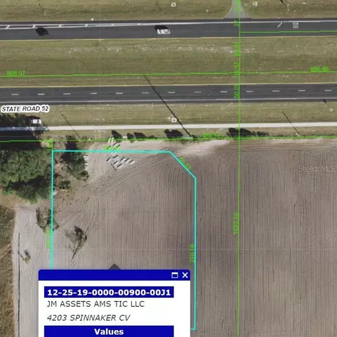 Sr 52, San Antonio, FL 33576
