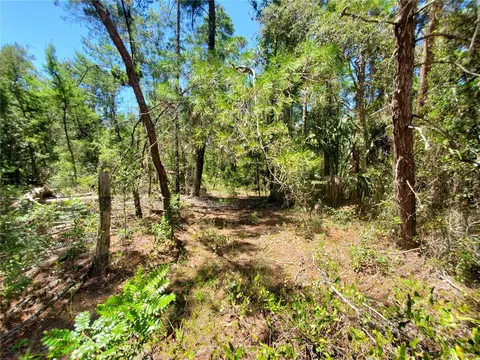 7 Petunias Ct, Homosassa, FL 34446
