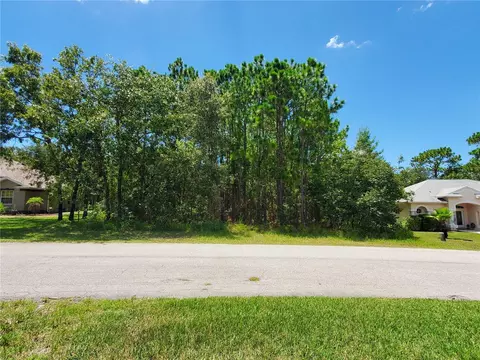 17 Bells Of Ireland Ct, Homosassa, FL 34446