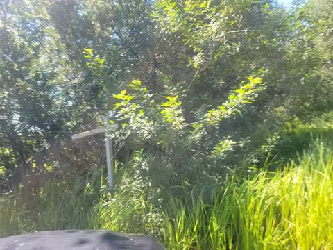 Sumner Road, Wimauma, FL 33598