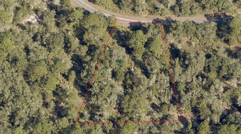 12000 W Cockscomb Dr, Crystal River, FL 34428
