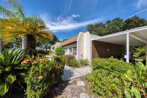 3143 Mission Grove Dr #C, Palm Harbor, FL 34684