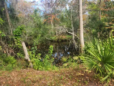 3615 Elfers Pkwy, New Port Richey, FL 34655