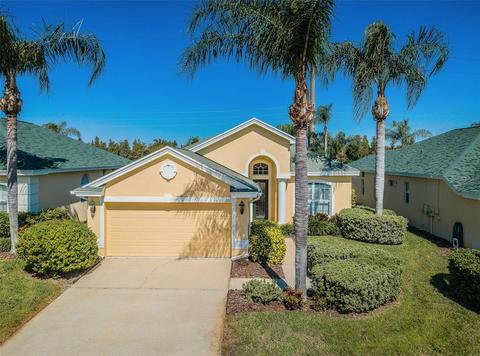 10207 Sorenstam Dr, Trinity, FL 34655 photo 1