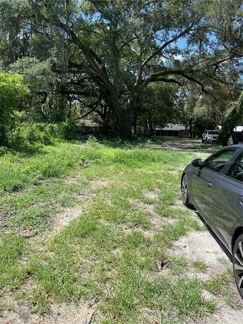 11106 Thomas St, Seffner, FL 33584 photo 1