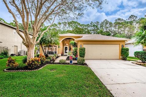 1663 Bayhill Dr, Oldsmar, FL 34677 photo 1