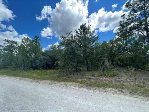 Lot 29 Eastern Phoebe Road, Weeki Wachee, FL 34614