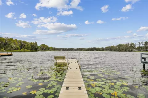 16925 Crawley Rd, Odessa, FL 33556