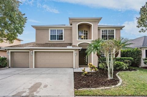 10773 Banfield Dr, Riverview, FL 33579 photo 1