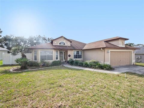132 Madrona Dr, Eustis, FL 32726 photo 1