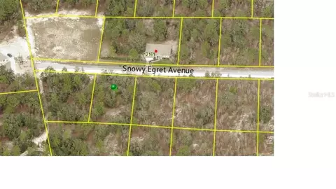 12152 Snowy Egret Ave, Weeki Wachee, FL 34614